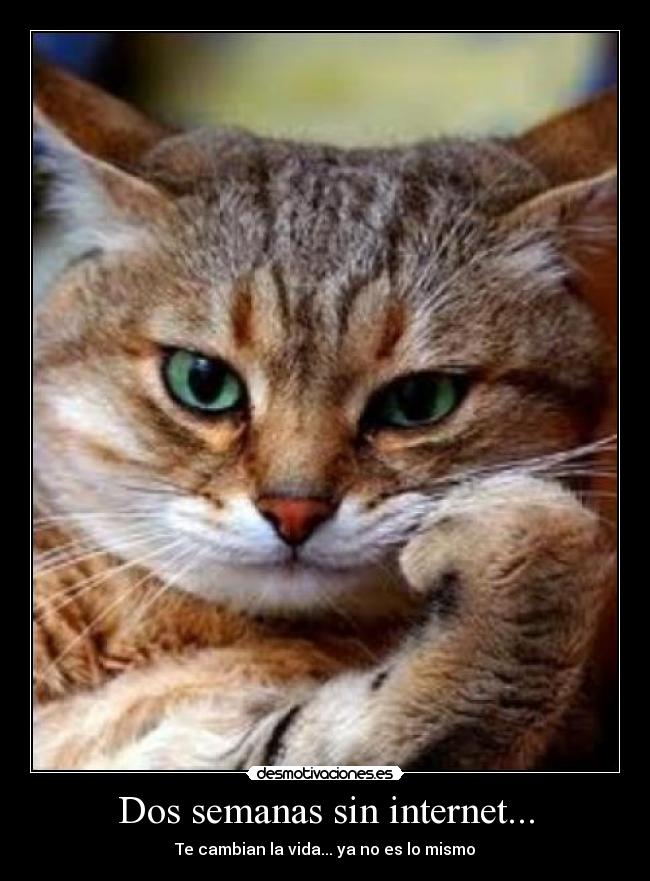 Dos semanas sin internet... - Te cambian la vida... ya no es lo mismo
