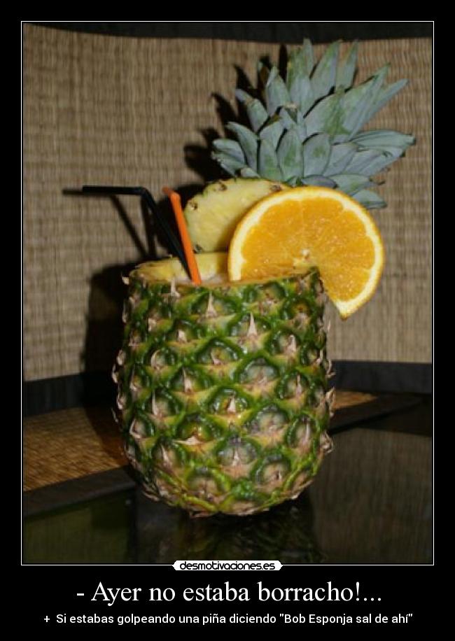 - Ayer no estaba borracho!... - 