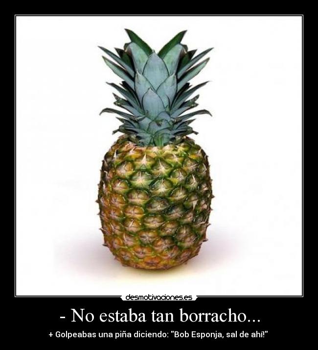 - No estaba tan borracho... - + Golpeabas una piña diciendo: Bob Esponja, sal de ahí!
