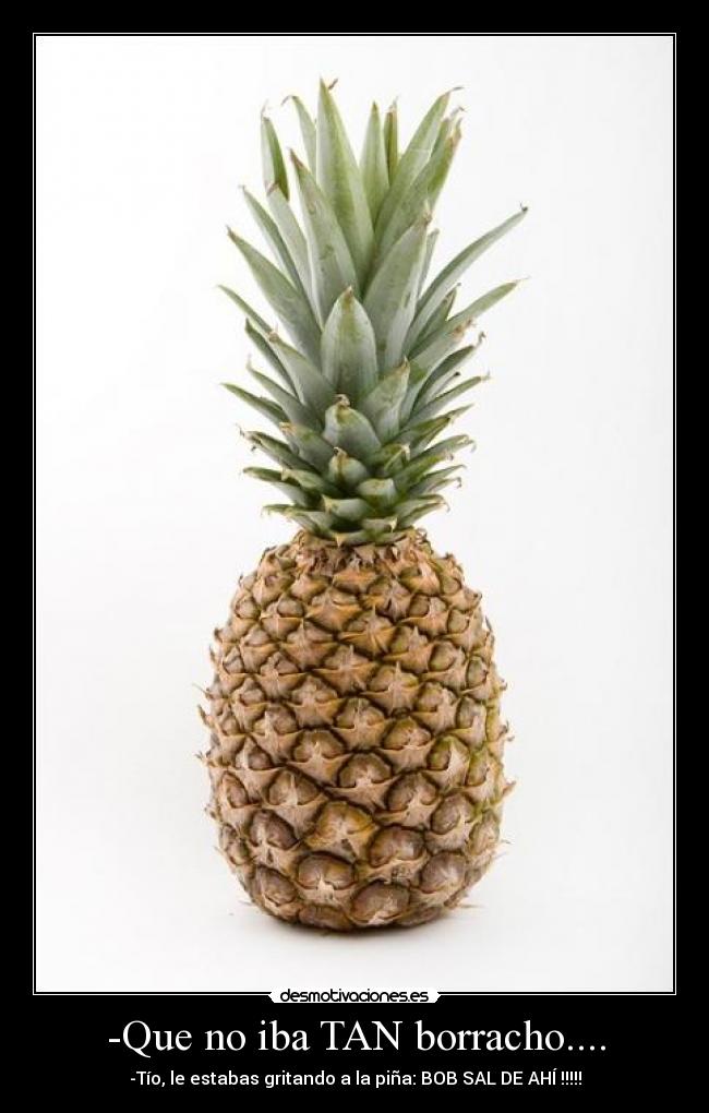 carteles pina borracho bob esponja desmotivaciones