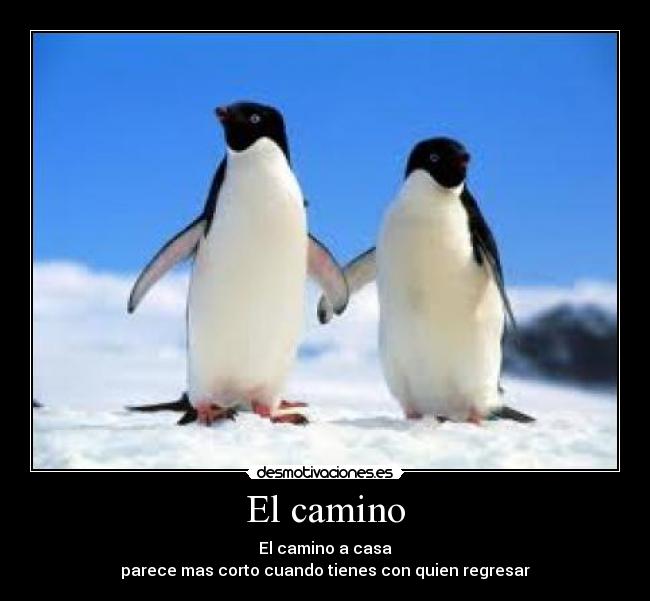 El camino -