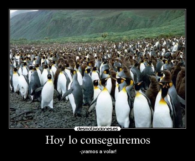 Hoy lo conseguiremos -