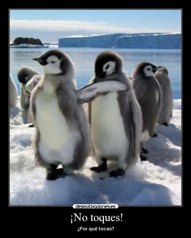 ¡No toques! -