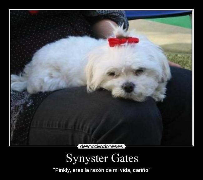 Synyster Gates - Pinkly, eres la razón de mi vida, cariño