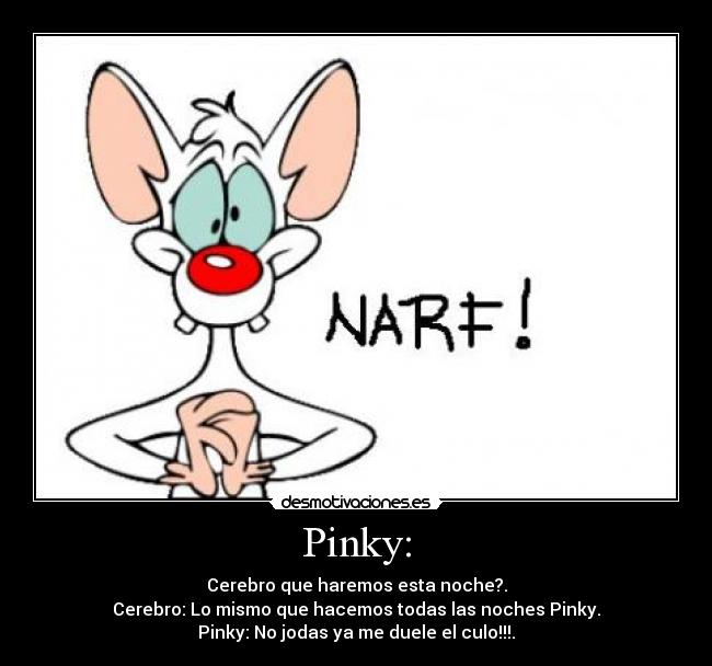 Pinky: - Cerebro que haremos esta noche?.
Cerebro: Lo mismo que hacemos todas las noches Pinky.
Pinky: No jodas ya me duele el culo!!!.
