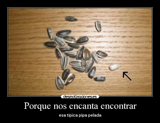 carteles pipas desmotivaciones