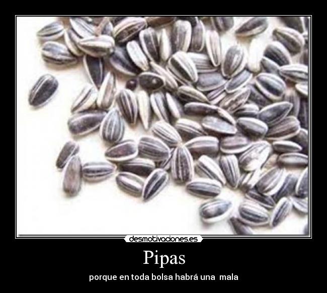 Pipas -
