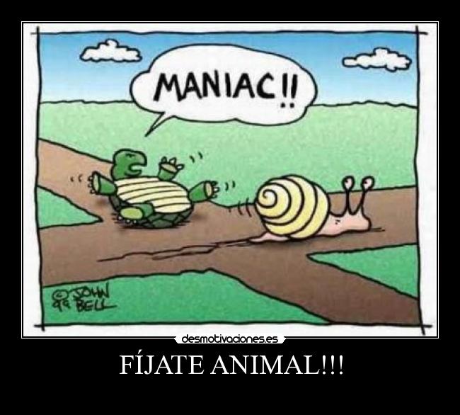 FÍJATE ANIMAL!!! - 