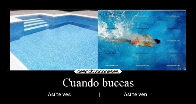 Cuando buceas -