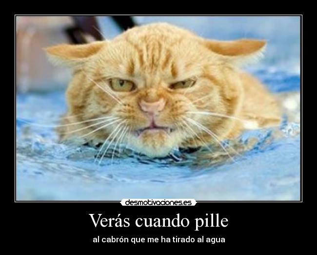 Verás cuando pille -