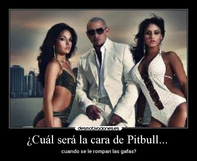 ¿Cuál será la cara de Pitbull... -