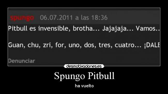 Spungo Pitbull -
