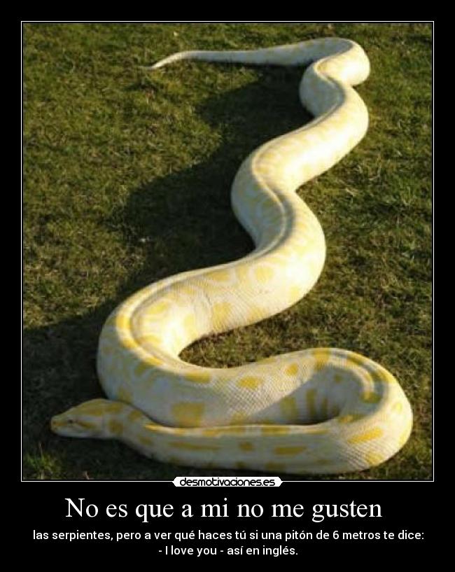 carteles miedos desmotivaciones