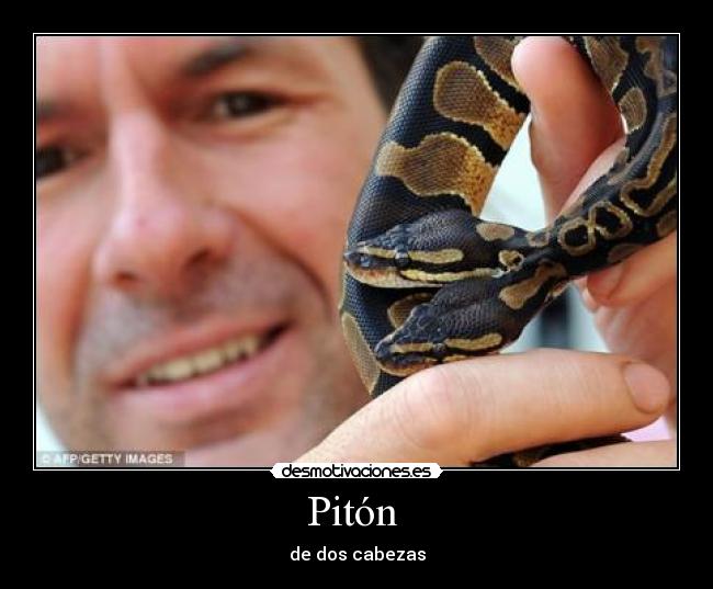 Pitón  - 