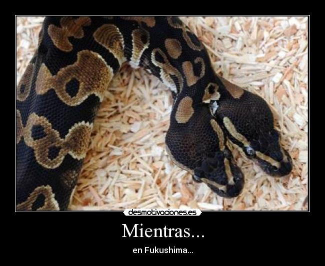 Mientras... - 