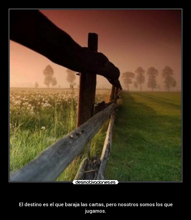    - El destino es el que baraja las cartas, pero nosotros somos los que jugamos.