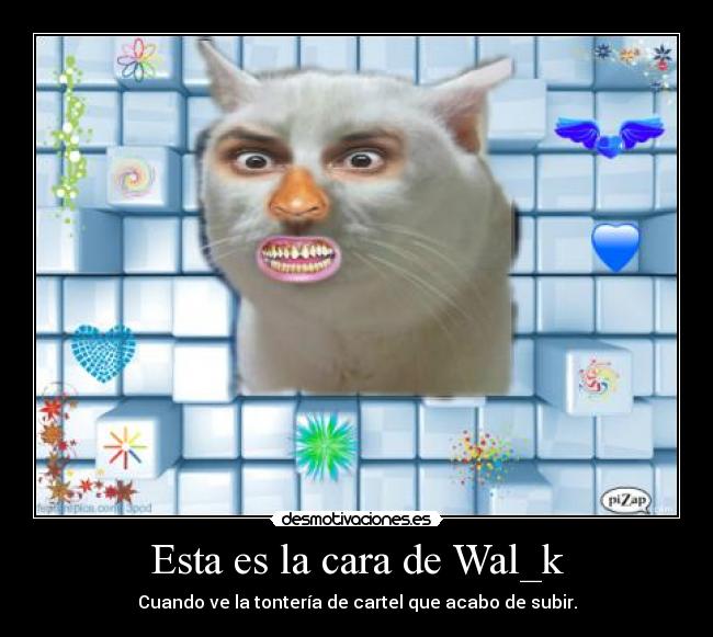 Esta es la cara de Wal_k -