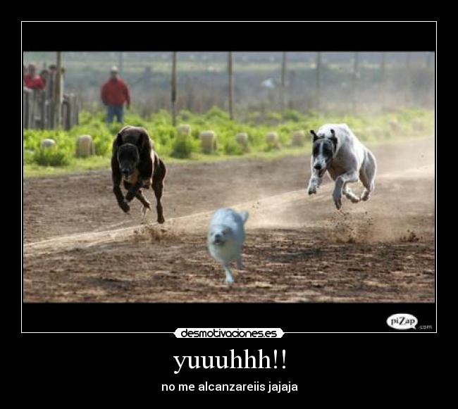 yuuuhhh!! - no me alcanzareiis jajaja