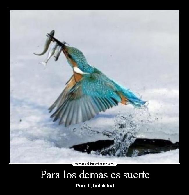 Para los demás es suerte -