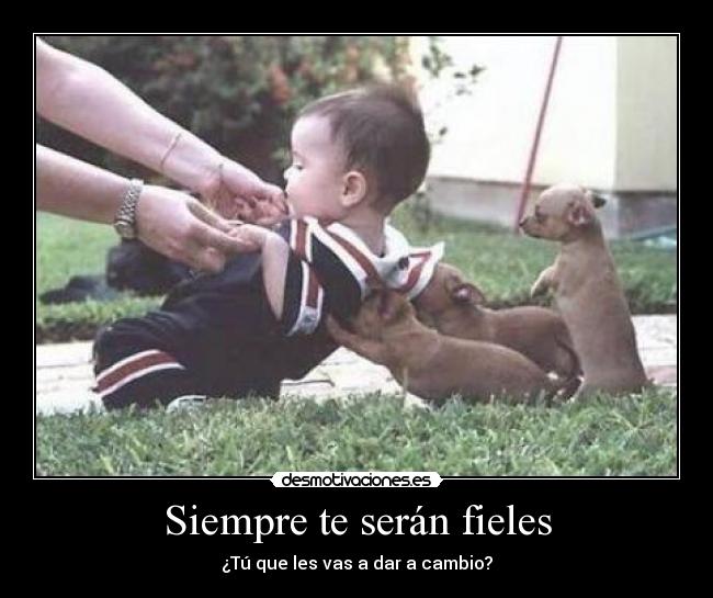 Siempre te serán fieles - ¿Tú que les vas a dar a cambio?