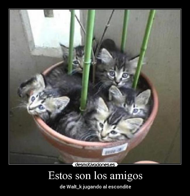 Estos son los amigos -