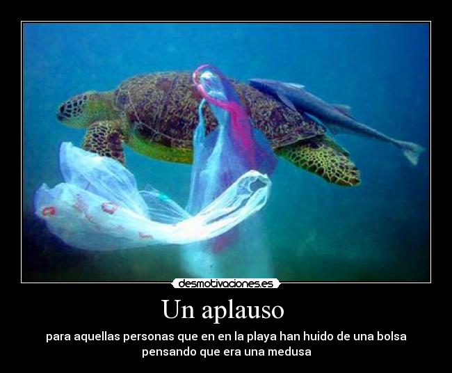 Un aplauso - para aquellas personas que en en la playa han huido de una bolsa
pensando que era una medusa