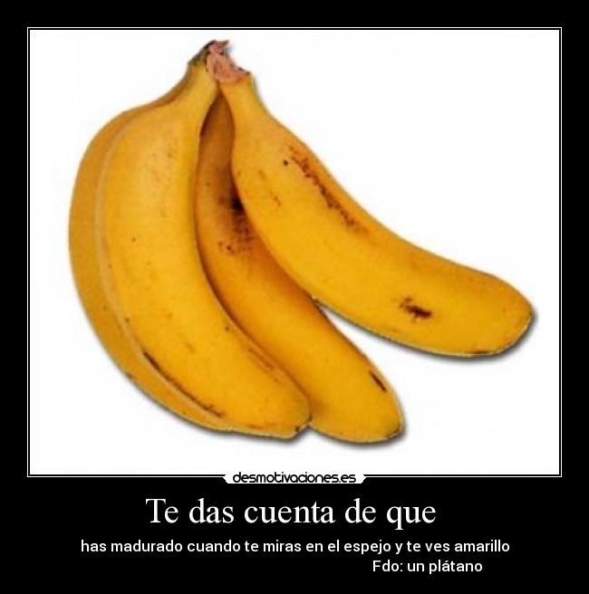 Te das cuenta de que -