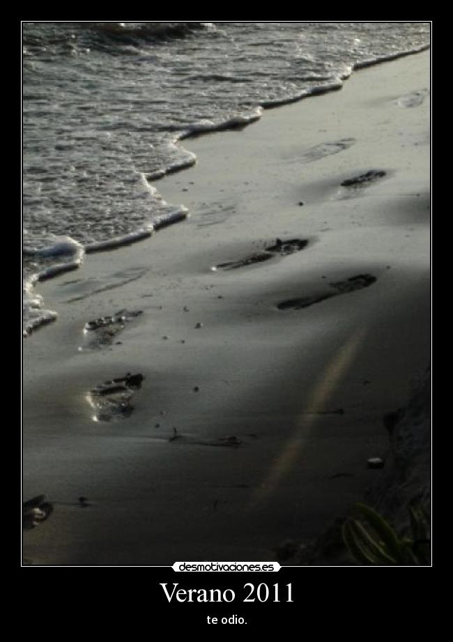 Verano 2011 -