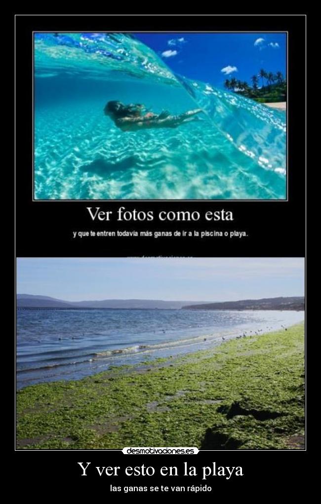 Y ver esto en la playa - las ganas se te van rápido