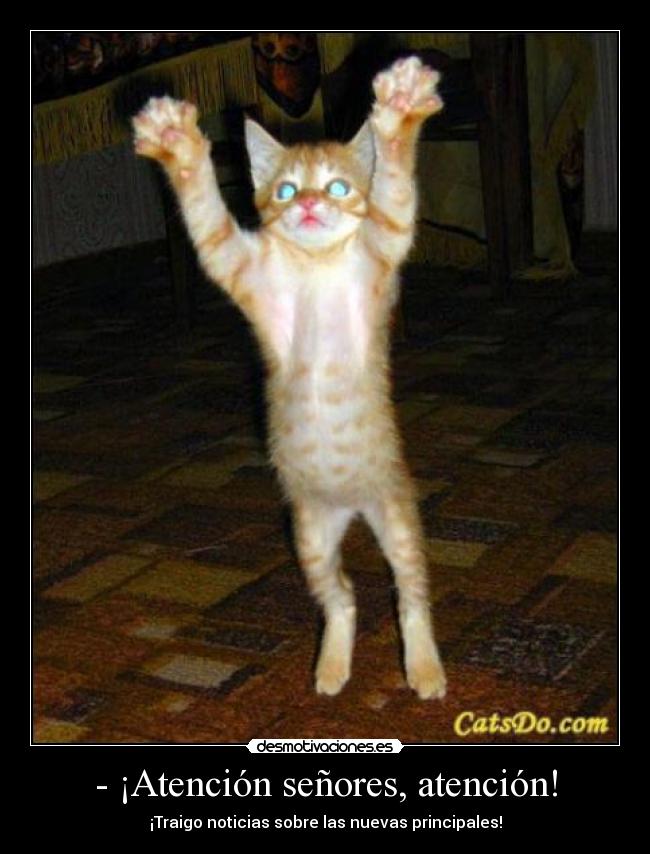 - ¡Atención señores, atención! - 