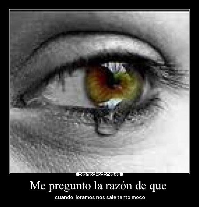 Me pregunto la razón de que -