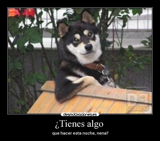 ¿Tienes algo -