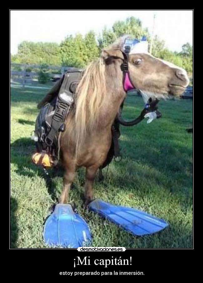 ¡Mi capitán! -