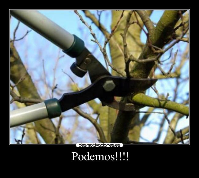 Podemos!!!! - 
