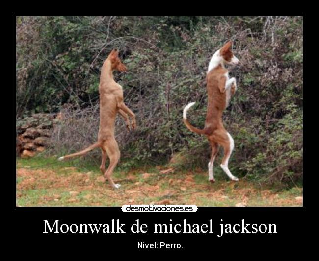 Moonwalk de michael jackson -