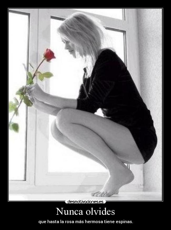 Nunca olvides -