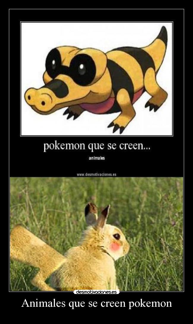 Animales que se creen pokemon -