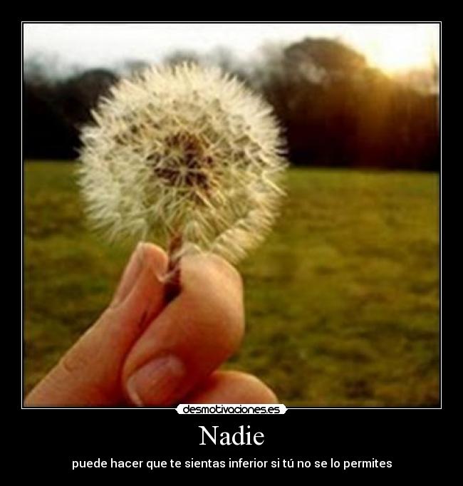 carteles nadie puede hacer que sientas inferior tu permites desmotivaciones