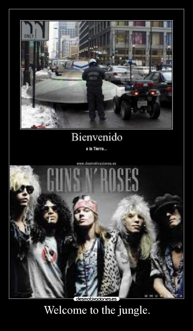 Welcome to the jungle. - 