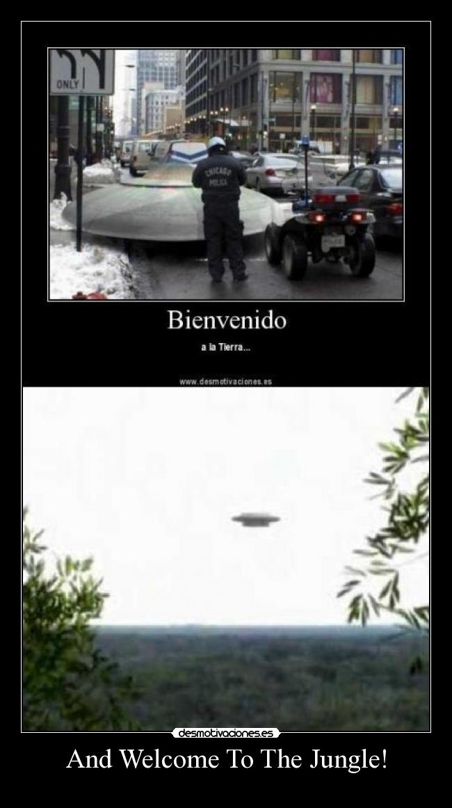 And Welcome To The Jungle! - 