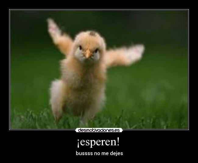 ¡esperen! -