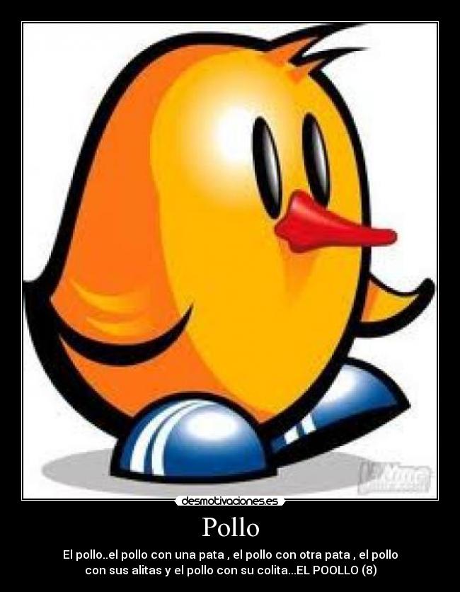 Pollo -