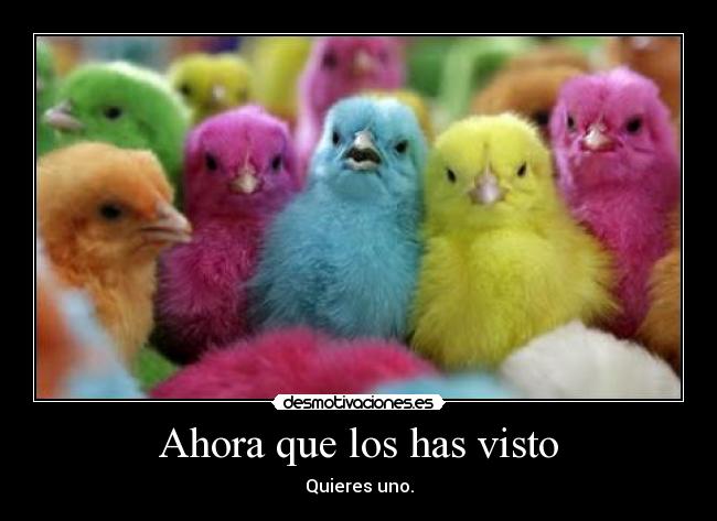 Ahora que los has visto - 