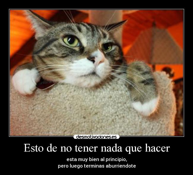 Esto de no tener nada que hacer - 