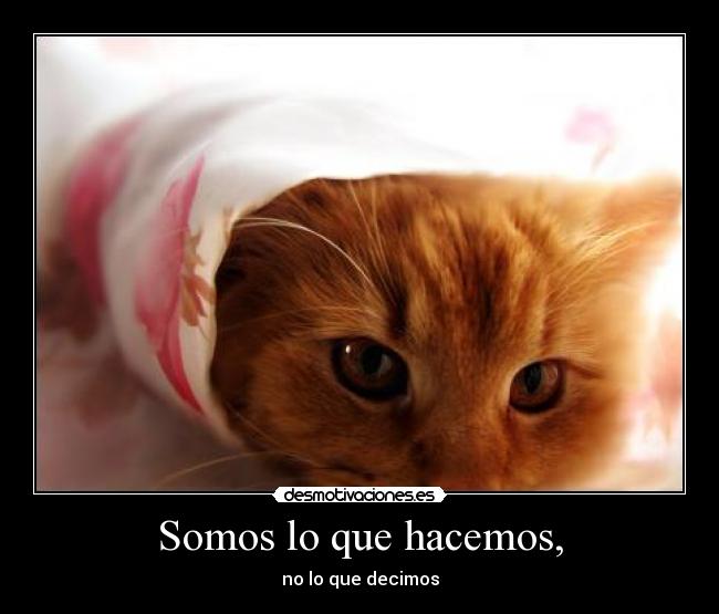 Somos lo que hacemos, - 