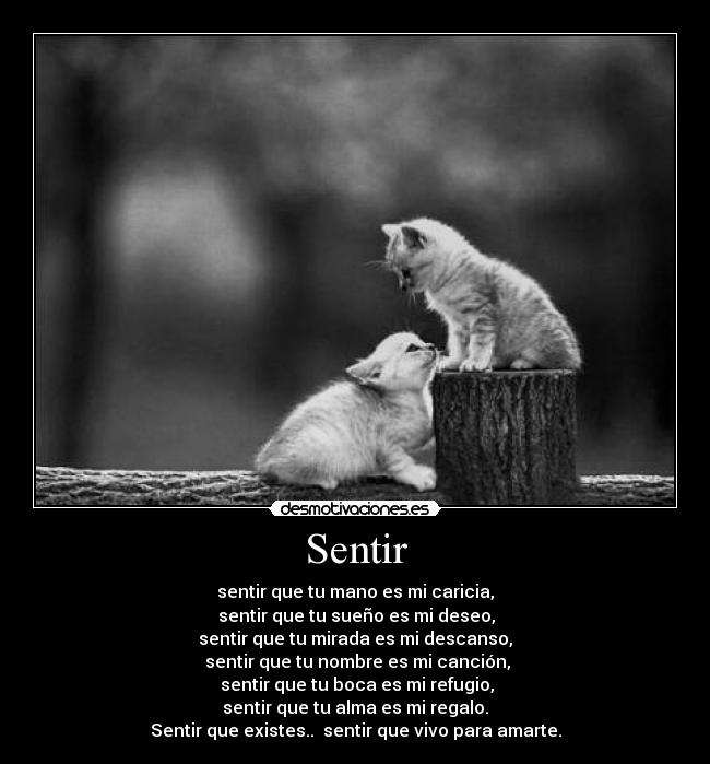 Sentir - 