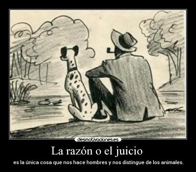 La razón o el juicio -