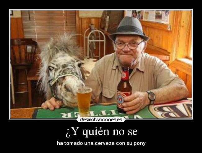 ¿Y quién no se - ha tomado una cerveza con su pony