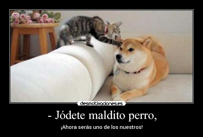 - Jódete maldito perro, - ¡Ahora serás uno de los nuestros!