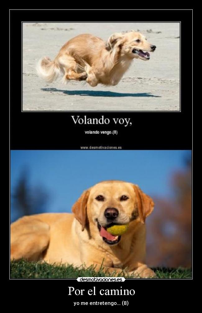 Por el camino - yo me entretengo... (8)